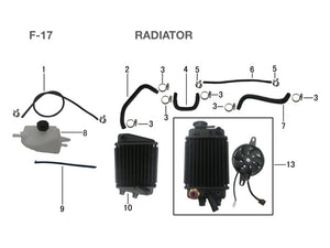 RADIATOR - KPMOTO-CLUB